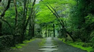 Ryuichi Sakamoto - Forbidden Colours (Original)