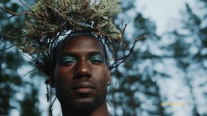 Капха доша: подробное описание, дисбаланс капхи, как привести в баланс, питание