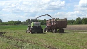 Кормоуборочный комбайн Claas Jaguar 870 подбирает валки на болоте