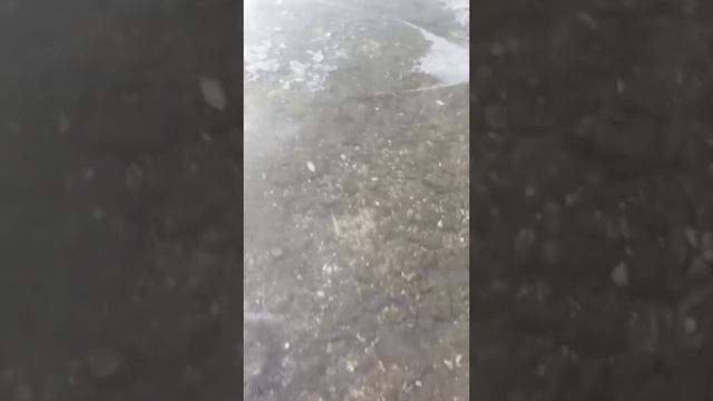 Глушу окуней под водой смотреть онлайн