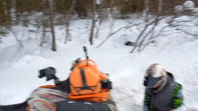 23 января 2023 г. смотреть онлайн