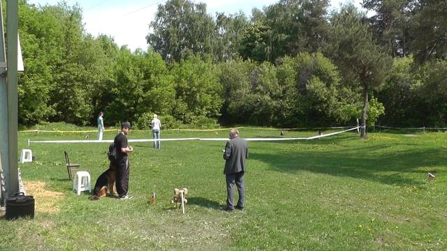 "Путёвка в жизнь". ОКД. смотреть онлайн