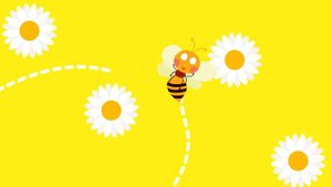 Insect Song