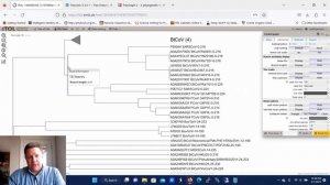 Collapse and Label Clades in a Phylogenetic Tree or Dendrogram