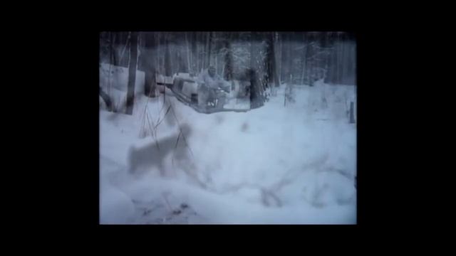 Ураган Волк по кличке Акелло смотреть онлайн