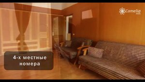Отель «Камелия-Кафа» Коктебель