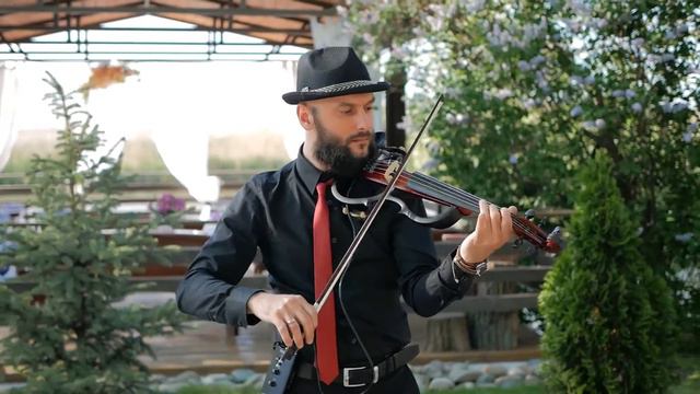 Скрипач. смотреть онлайн