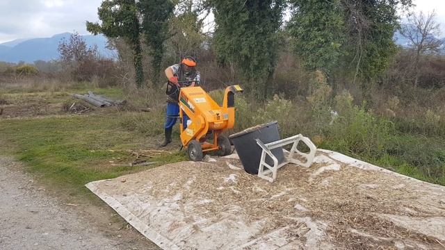 Дробление веток деревьев и кустов до 4см диаметром.