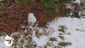 Nag Snow nasad! | Alzenau Germany | Pinay in Germany