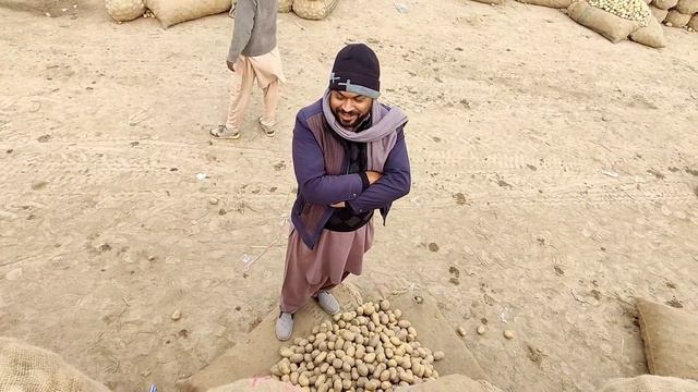Sabzi Mandi Me Aloon ki BOLI 2023| Potato Auction | Weldon's By Sarfraz
