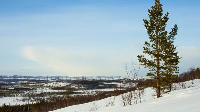Полярный пёс Чинук смотреть онлайн