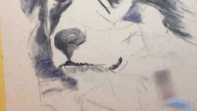 Lizzy Pt-2 Colored Pencils and Powder Blender on Sanded Paper смотреть онлайн