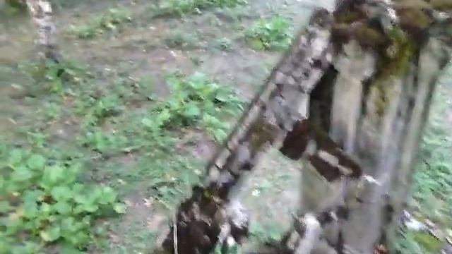 Развалины дачи Сталина смотреть онлайн