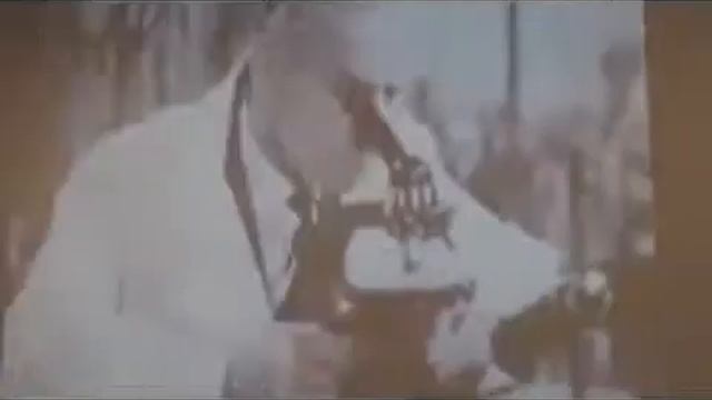 Как музыка влияет на растения