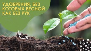 Удобрения, без которых весной как без рук.?