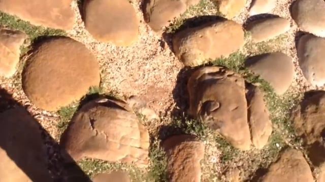 Южная Африка. Кейптаун. Мыс Доброй Надежды/Amazing South Africa. Cape Town. смотреть онлайн