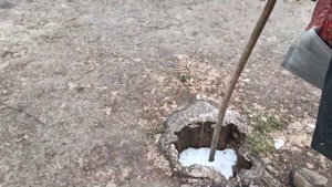 Витя Митя / Vlog на Святого Николая