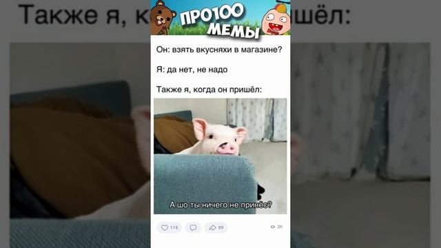 Мемы 2022 #мемы2022 #смешныекоты #мемы #мемыскотами #мемыдня #мемыссобаками #собаки #мем #про100мемы