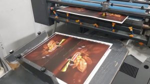 Ламинирование матовой пленкой, картон 275 г/м