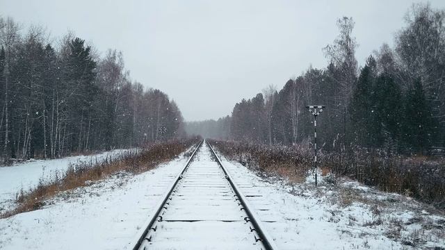 13   Н Некрасов  Железная дорога #гражданскаялирика #поэты19века