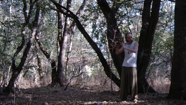 24 SEPT - FOREST - BANSURI D WOODEN FLUTE смотреть онлайн