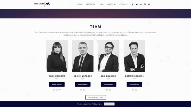 Trecento ICO. Обзор платформы смотреть онлайн