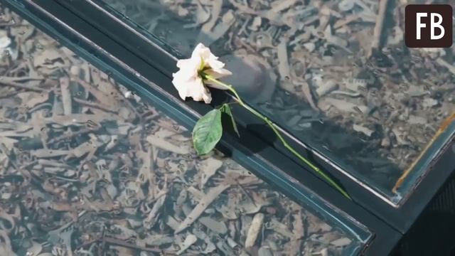 Кружка 70 лет простояла в музее Освенцима, пока у нее не отвалилось дно. смотреть онлайн