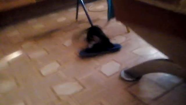 развлечение с тапкой смотреть онлайн