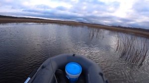 Ловля щуки в ноябре