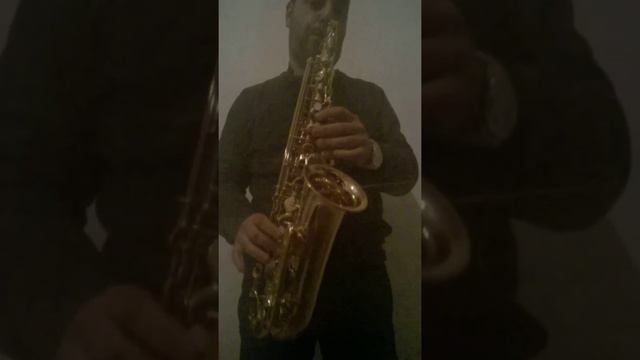 Alessandro Simone - Take five Alto Saxophone Sax смотреть онлайн