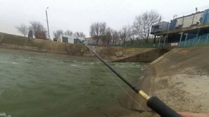 весенний выезд на Чограйское водохранилище