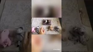 Математика во 2 мл. группе "Один, много, мало"