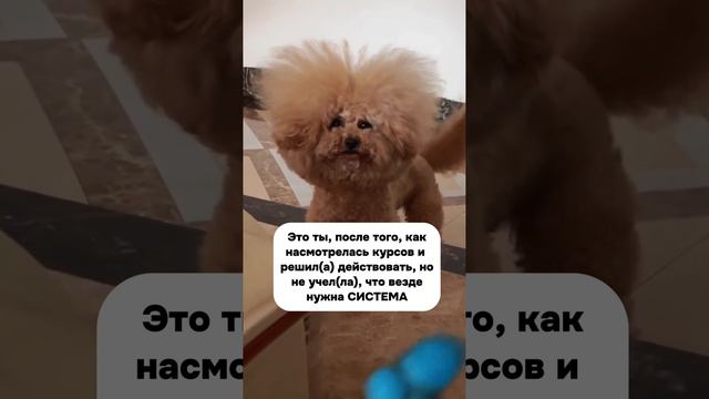 Система