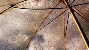 Шуточная песенка об осени (муз.и сл.Татьяны Снежиной)