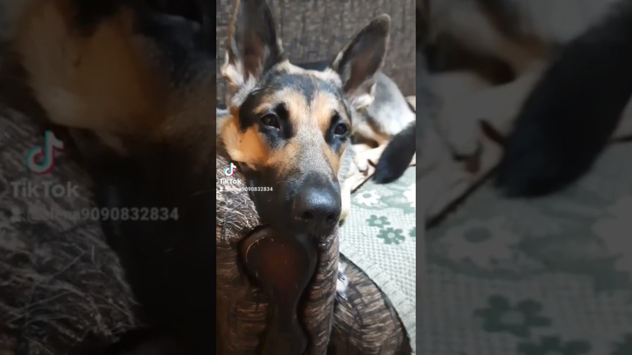 Уважать себя #жизнь #мудрость #мотивациядня  #мотивациянауспех