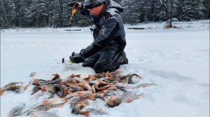 зимняя рыбалка на реке Еты - пур.решил проверить любимое место и не прогадал.