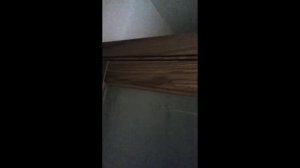 Одна дверь на два проёма.