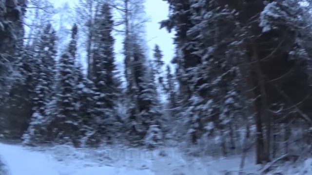 Лось загоном 24 12 18 смотреть онлайн