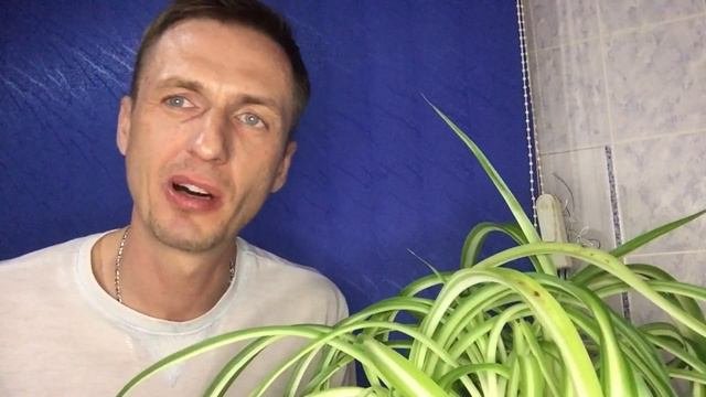 РЕАНИМАЦИЯ моего цветка и помощь ДРУГА, что сказал Георгий Горячевский