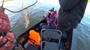 Рыбалка в Астрахани/ осень 2019/ жерех, щука, судак и отличная компания.