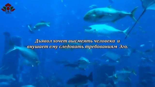 Мотивация для веры.Твоя победа. Мотивация для жизни в Вечности. смотреть онлайн