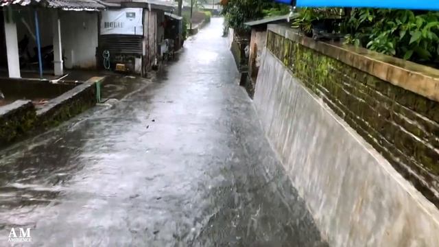 Heavy Rain Walk at Afternoon| Central Java | Rain Ambience Sounds Relax Sleep Study Work Stress ASM смотреть онлайн