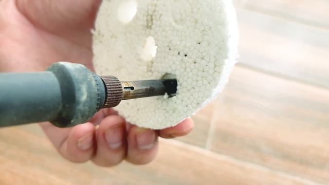 The best idea growing very beautiful aquatic plants in office | Angelica plant смотреть онлайн