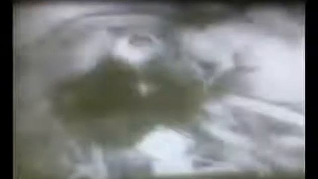 Белка и Стрелка смотреть онлайн