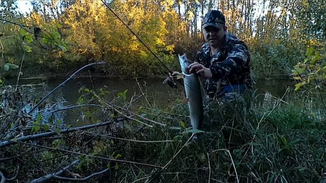 Со спиннингом в октябре !!! Ловля щуки !!! смотреть онлайн