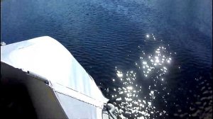 Прогулка на лодке с сыном. Polar Bird 340M + Allfa CG 9.8