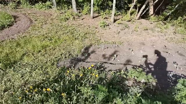 #райназемле #террасы на склонах #райскийсад #ландшафтныйдизайн Real Video