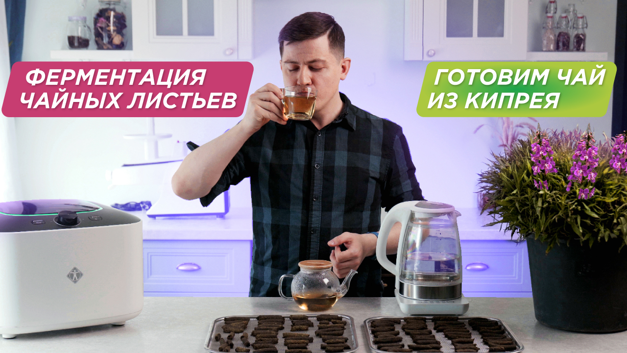 Как ферментировать иван чай в домашних условиях | Кипрей узколистный