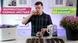 Как ферментировать иван чай в домашних условиях | Кипрей узколистный