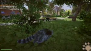 Симулятор Енота #4 Кид спасает Белку в Wanted Raccoon на пурумчата